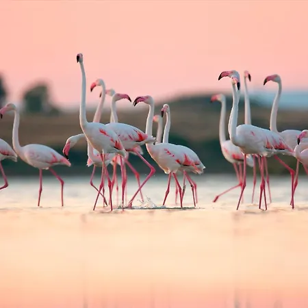 5 Minuti Dal Mare E Parco Naturale- Casa Moderna Con Veranda Apartment *