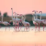 5 Minuti Dal Mare E Parco Naturale- Casa Moderna Con Veranda Lägenhet *
